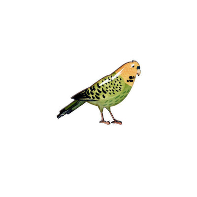 Parrot - Budgerigar Brooch