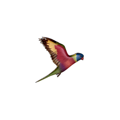 Parrot - Rainbow Lorikeet II Brooch